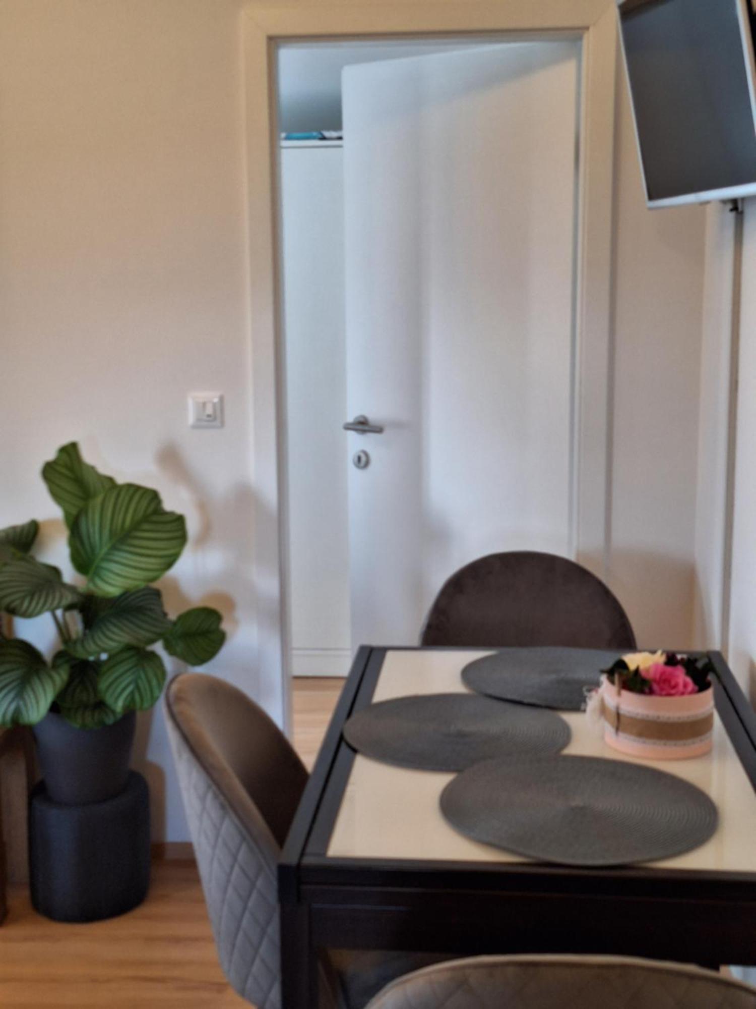 Studio Apartment Dorina Buje Exterior foto