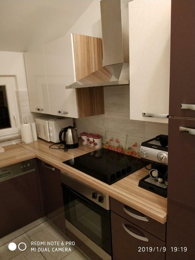 Studio Apartment Dorina Buje Exterior foto