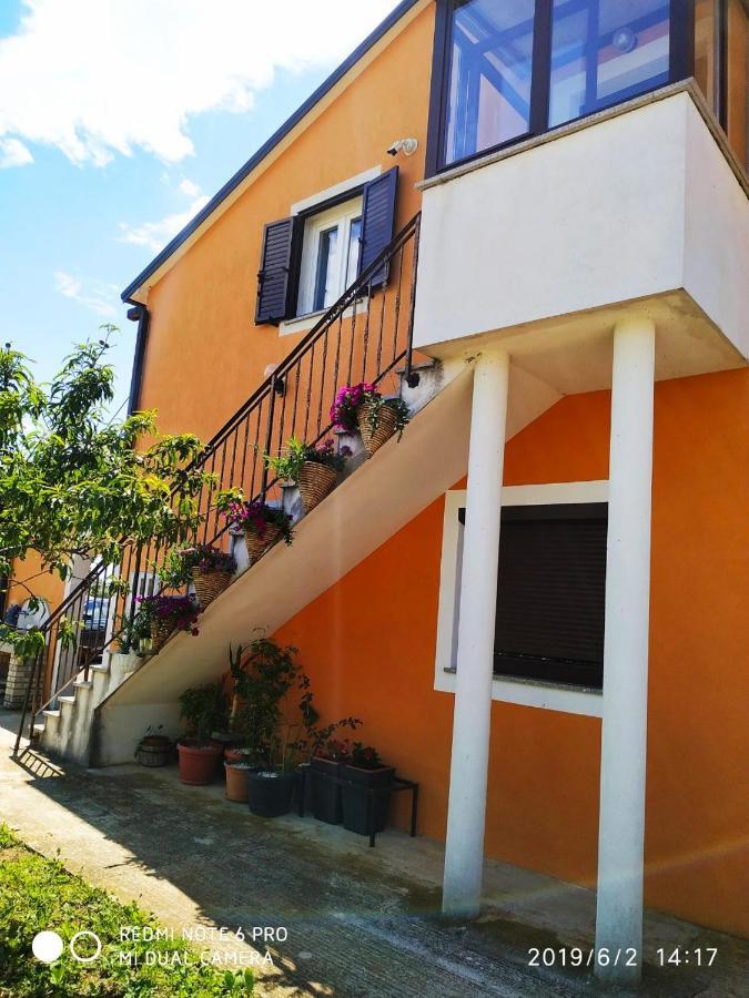 Studio Apartment Dorina Buje Exterior foto